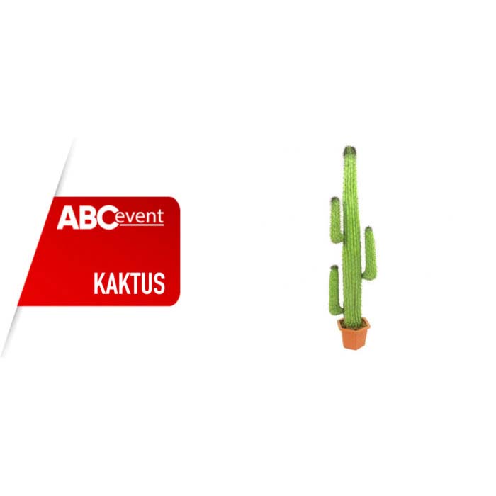 Eight shirts arranged on table in black, olive, grey, blue, white, red, mustard, and green.